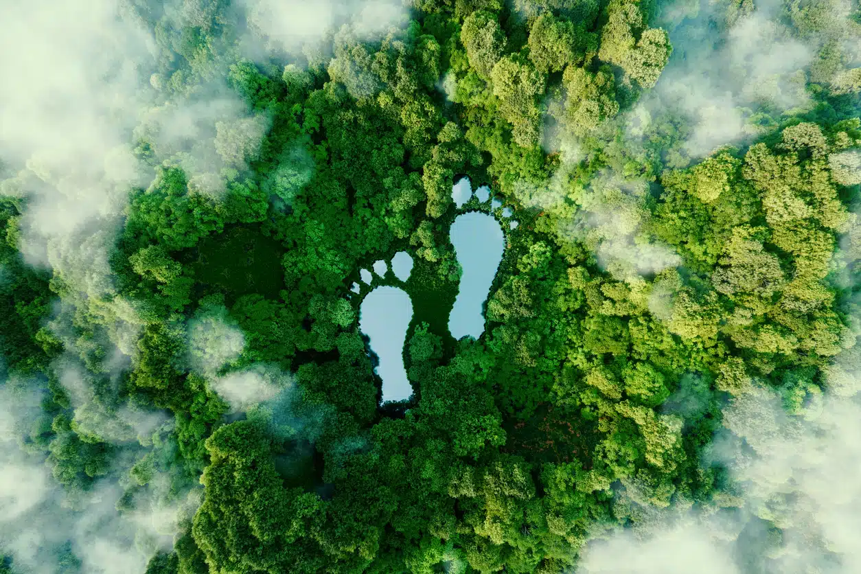 Ein See in Form menschlicher Fußabdrücke inmitten eines üppigen Waldes als Metapher für die Auswirkungen menschlicher Aktivitäten auf die Landschaft und die Natur im Allgemeinen. Ein See in Form menschlicher Fußabdrücke inmitten eines üppigen Waldes als Metapher für die Auswirkungen menschlicher Aktivitäten auf die Landschaft und die Natur im Allgemeinen.